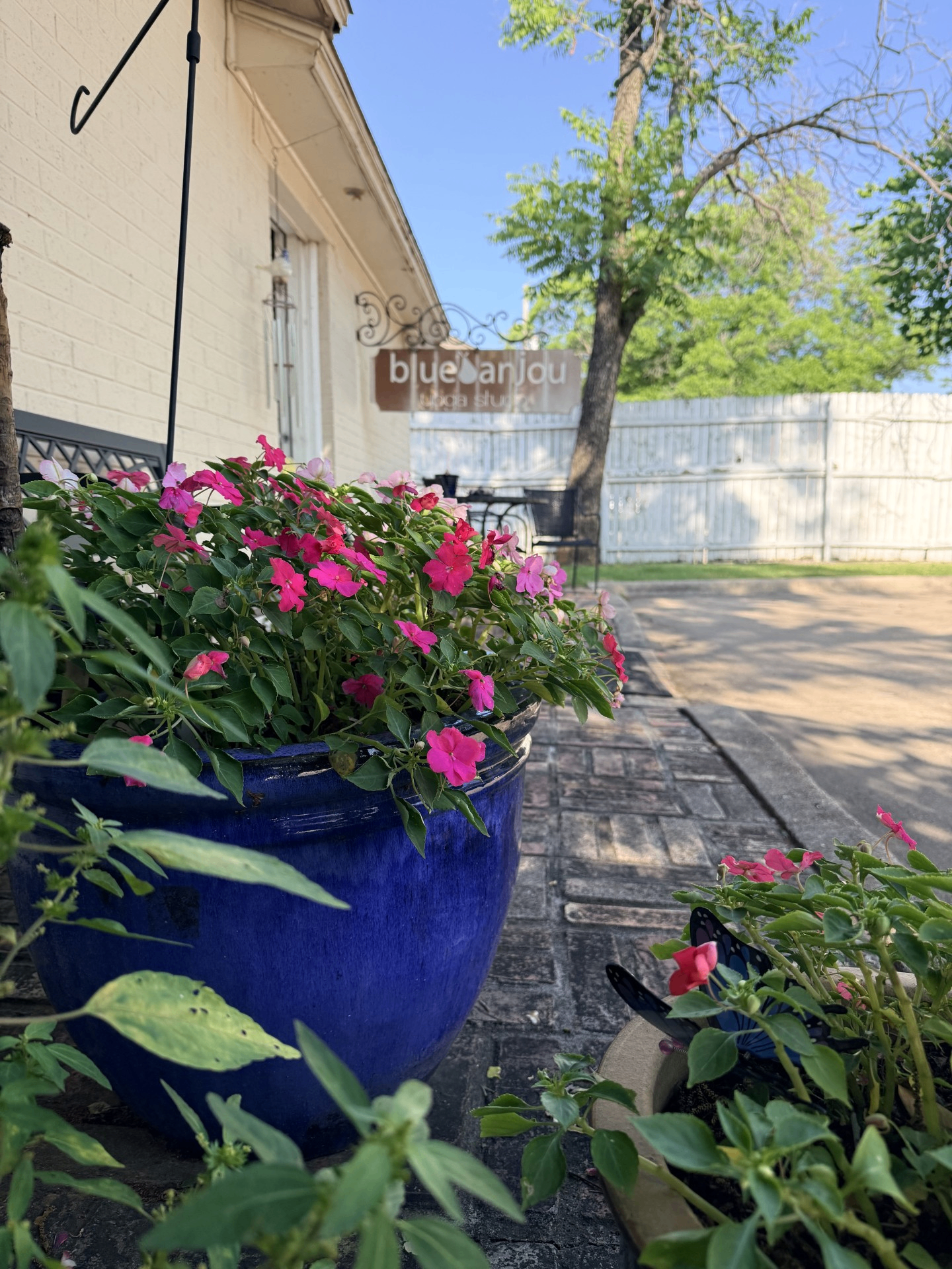 Blue flower pot and studio sign outside Blue Anjou Yoga Studio